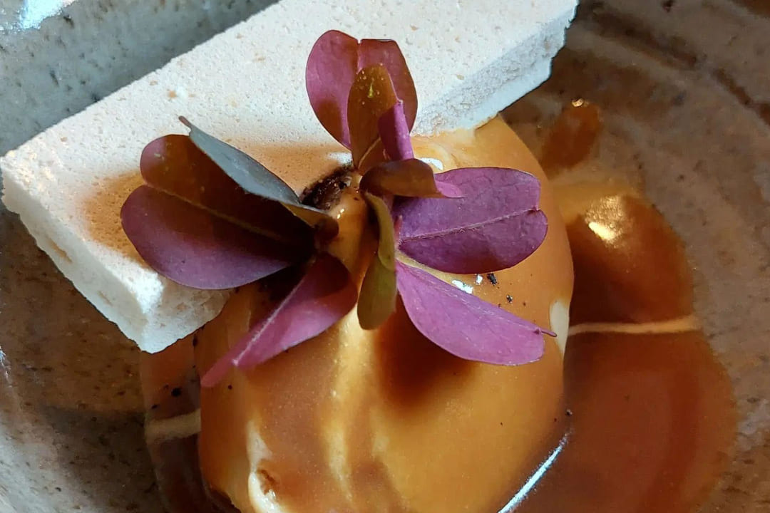 Quiltro_gpurmet_GL-1